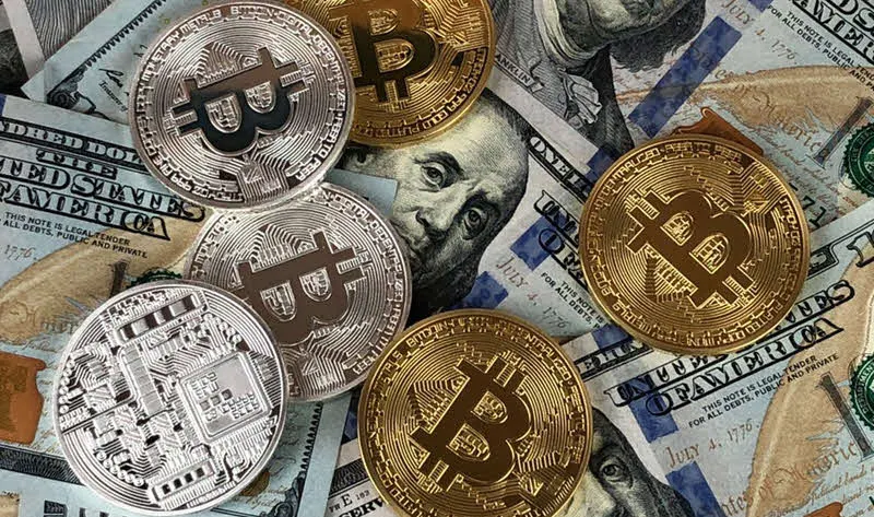 Volatility and High Fees Lead Companies to Drop Bitcoin Volatility and High Fees Lead Companies to Drop Bitcoin